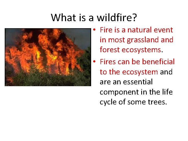 What is a wildfire? • Fire is a natural event in most grassland forest