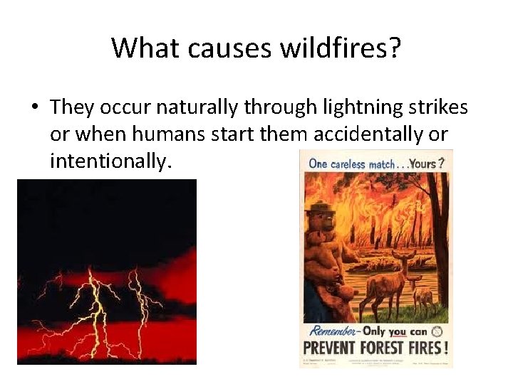 What causes wildfires? • They occur naturally through lightning strikes or when humans start