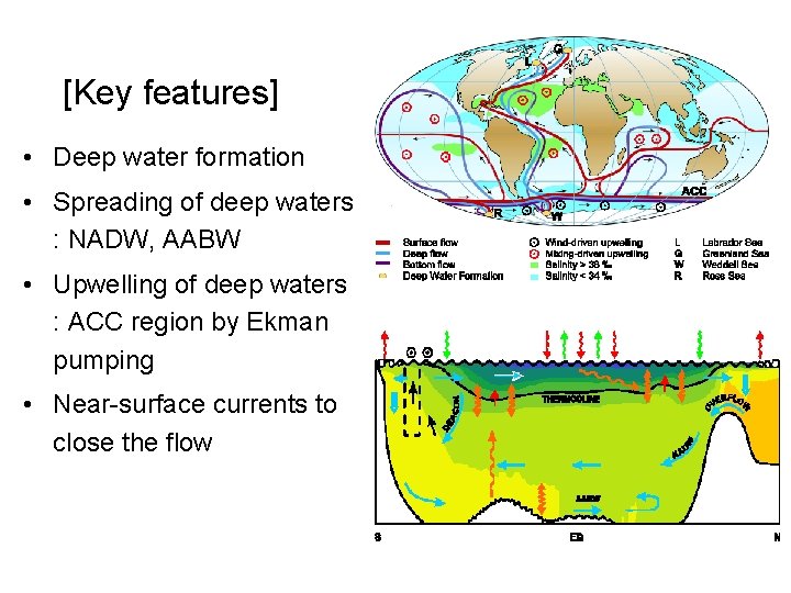 [Key features] • Deep water formation • Spreading of deep waters : NADW, AABW