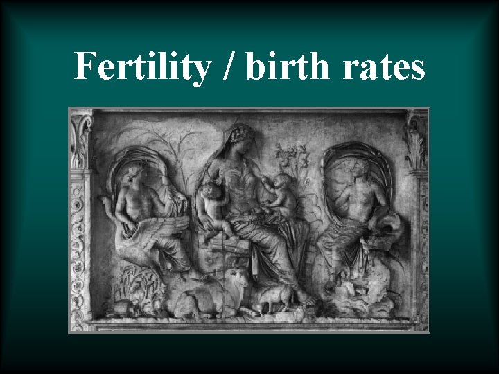 Fertility / birth rates 