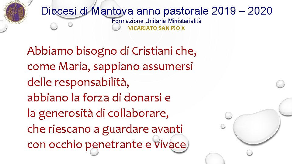 Diocesi di Mantova anno pastorale 2019 – 2020 Formazione Unitaria Ministerialità VICARIATO SAN PIO