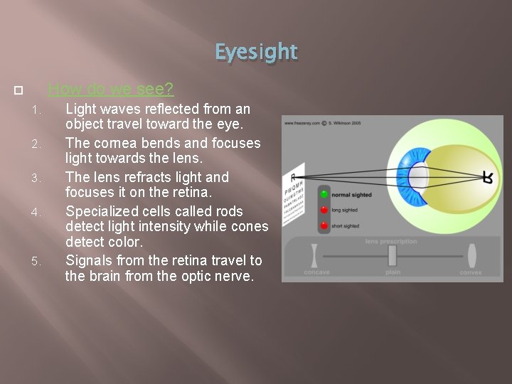 Eyesight How do we see? 1. 2. 3. 4. 5. Light waves reflected from