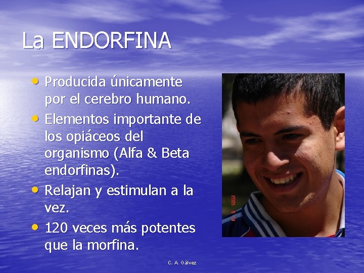 La ENDORFINA • Producida únicamente • • • por el cerebro humano. Elementos importante