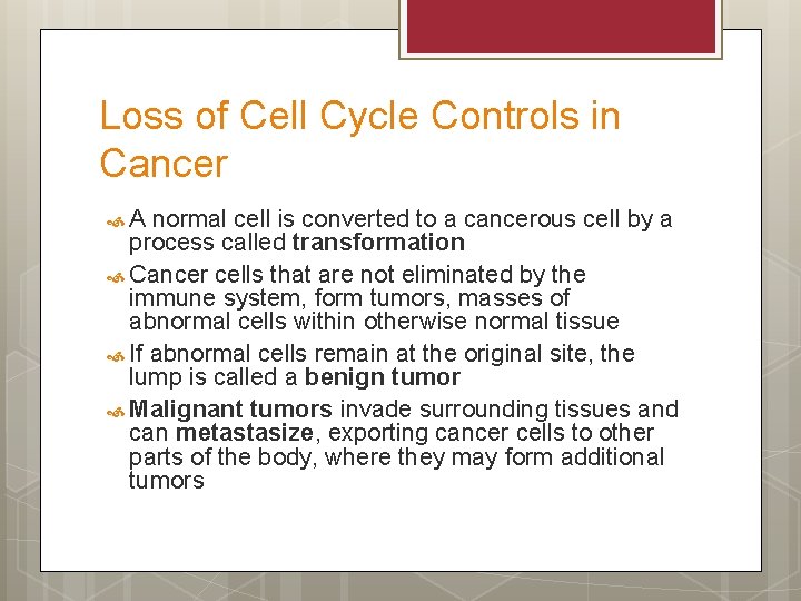 Loss of Cell Cycle Controls in Cancer A normal cell is converted to a