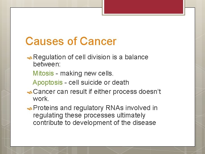 Causes of Cancer Regulation of cell division is a balance between: Mitosis - making