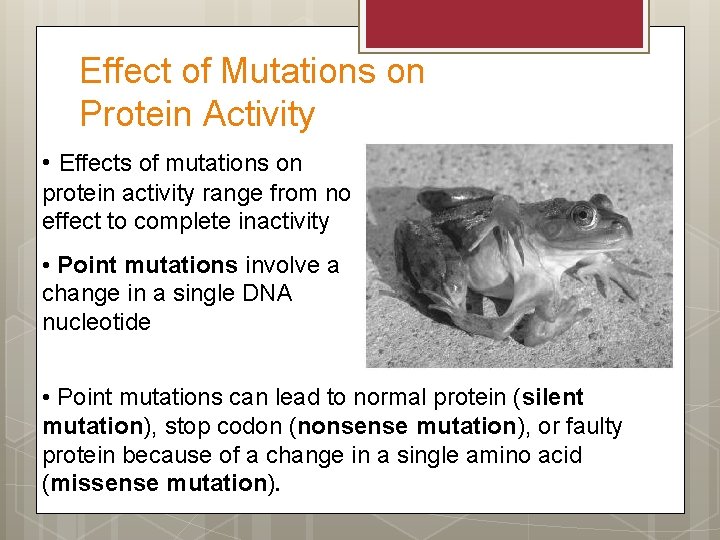 Effect of Mutations on Protein Activity • Effects of mutations on protein activity range