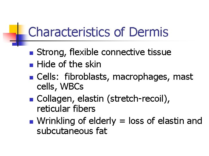 Characteristics of Dermis n n n Strong, flexible connective tissue Hide of the skin Characteristics of Dermis n n n Strong, flexible connective tissue Hide of the skin