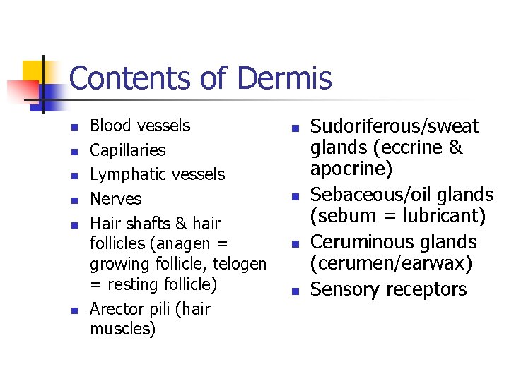 Contents of Dermis n n n Blood vessels Capillaries Lymphatic vessels Nerves Hair shafts Contents of Dermis n n n Blood vessels Capillaries Lymphatic vessels Nerves Hair shafts