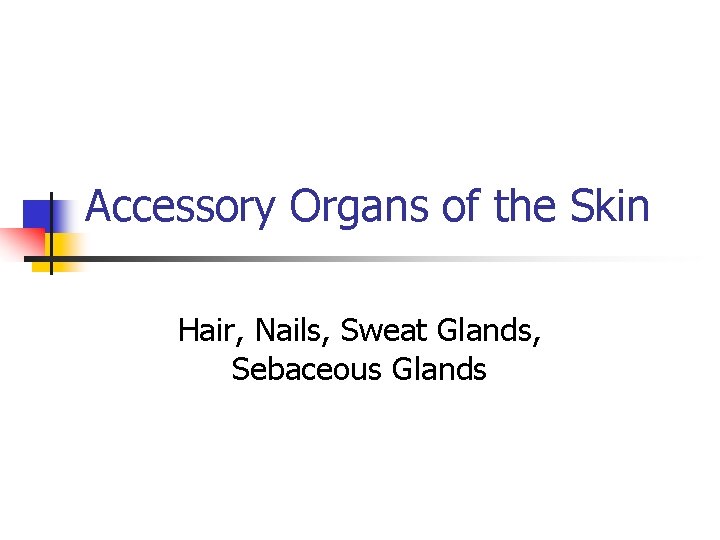Accessory Organs of the Skin Hair, Nails, Sweat Glands, Sebaceous Glands Accessory Organs of the Skin Hair, Nails, Sweat Glands, Sebaceous Glands