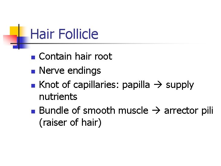 Hair Follicle n n Contain hair root Nerve endings Knot of capillaries: papilla supply Hair Follicle n n Contain hair root Nerve endings Knot of capillaries: papilla supply