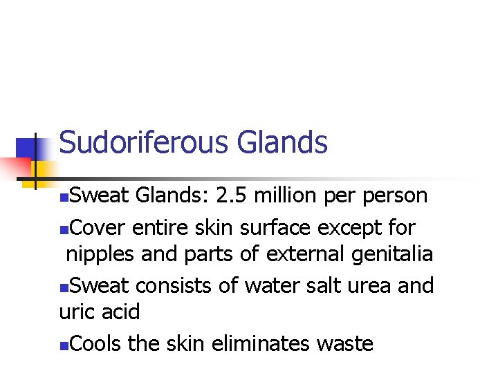 Sudoriferous Glands Sweat Glands: 2. 5 million person n. Cover entire skin surface except Sudoriferous Glands Sweat Glands: 2. 5 million person n. Cover entire skin surface except