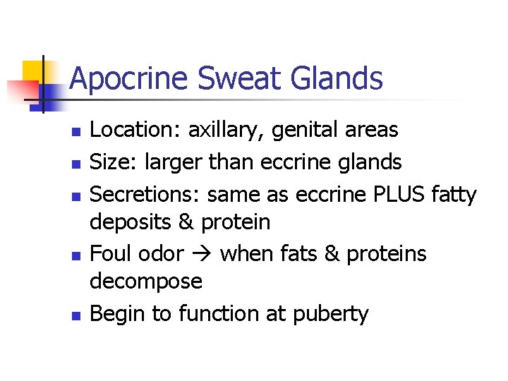 Apocrine Sweat Glands n n n Location: axillary, genital areas Size: larger than eccrine Apocrine Sweat Glands n n n Location: axillary, genital areas Size: larger than eccrine