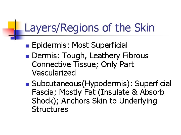 Layers/Regions of the Skin n Epidermis: Most Superficial Dermis: Tough, Leathery Fibrous Connective Tissue; Layers/Regions of the Skin n Epidermis: Most Superficial Dermis: Tough, Leathery Fibrous Connective Tissue;