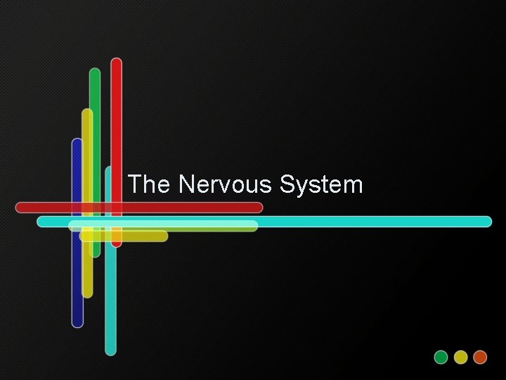 The Nervous System 
