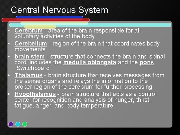 Central Nervous System • Cerebrum - area of the brain responsible for all voluntary
