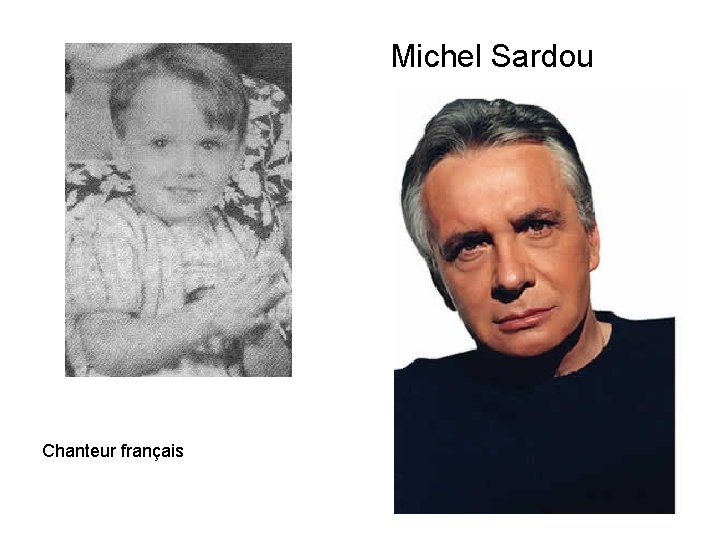 Michel Sardou Chanteur français 