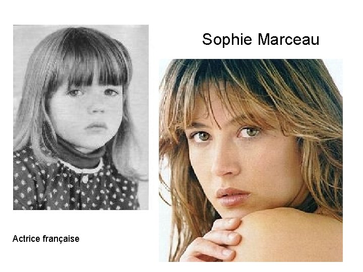Sophie Marceau Actrice française 