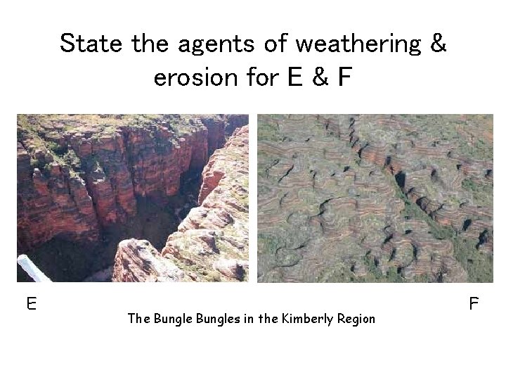 State the agents of weathering & erosion for E & F E The Bungles