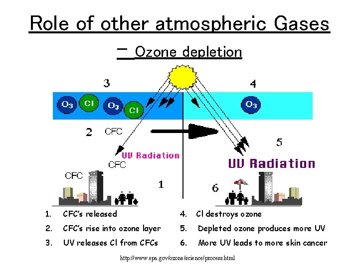 Role of other atmospheric Gases – Ozone depletion 1. CFC’s released 4. Cl destroys