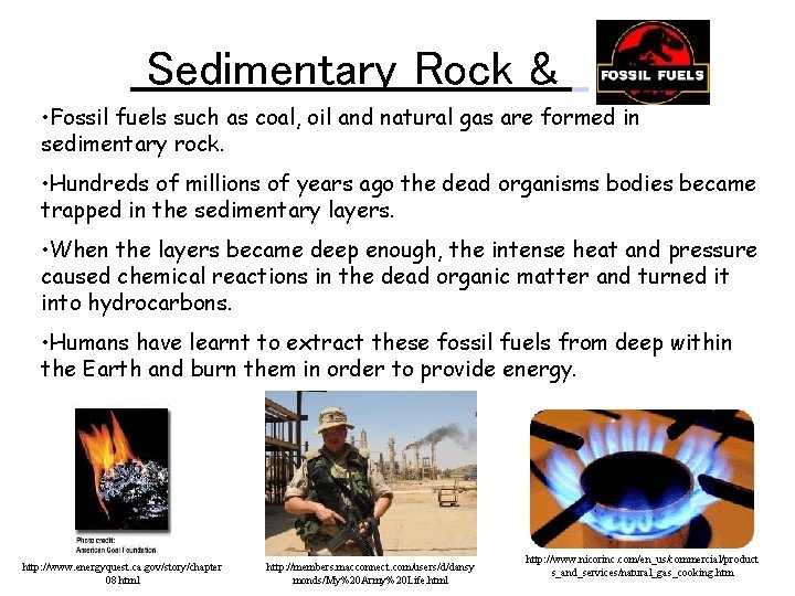 Sedimentary Rock & • Fossil fuels such as coal, oil and natural gas are