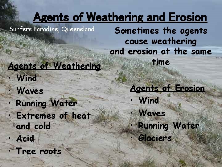 Agents of Weathering and Erosion Surfers Paradise, Queensland Agents of Weathering • Wind •