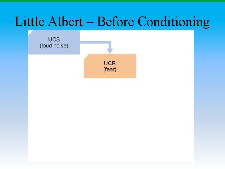 Little Albert – Before Conditioning 