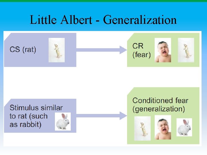 Little Albert - Generalization 