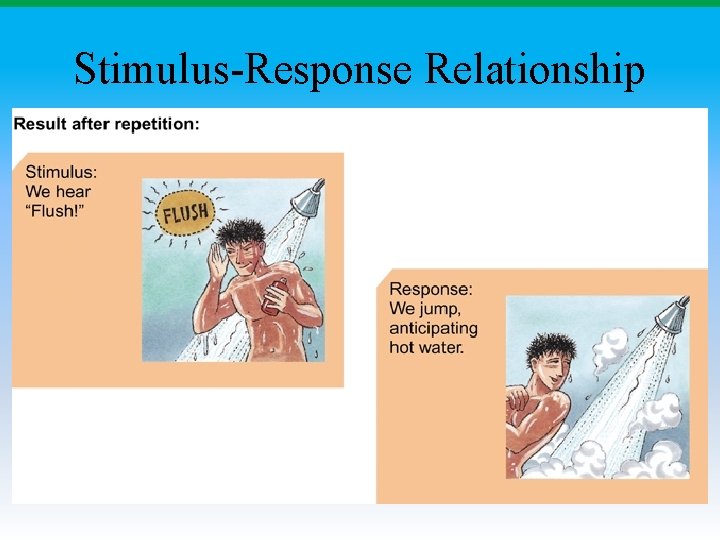 Stimulus-Response Relationship 