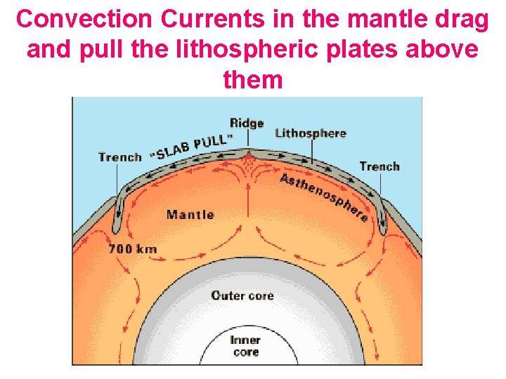 Convection Currents in the mantle drag and pull the lithospheric plates above them 