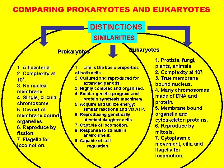 COMPARING PROKARYOTES AND EUKARYOTES DISTINCTIONS SIMILARITIES Prokaryotes 1. All bacteria. 2. Complexity at 106.