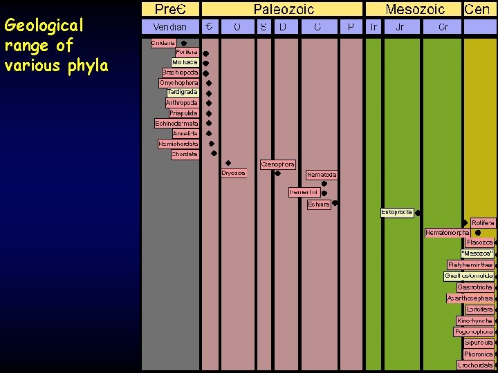 Geological range of various phyla 