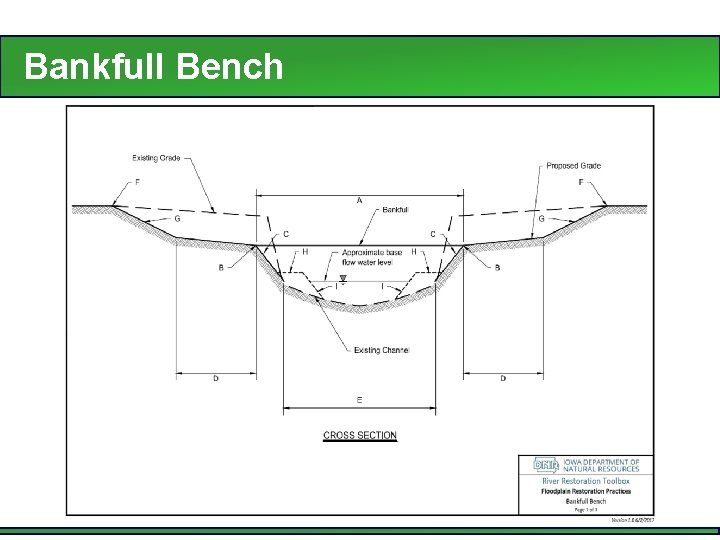 Bankfull Bench 