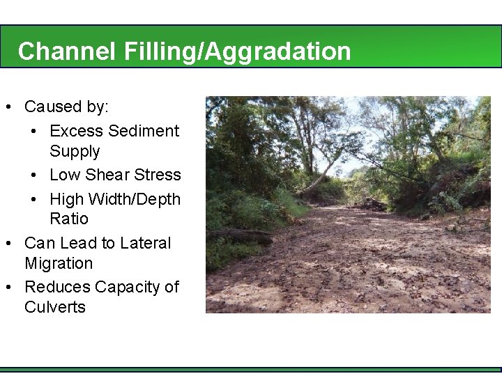 Channel Filling/Aggradation • Caused by: • Excess Sediment Supply • Low Shear Stress •