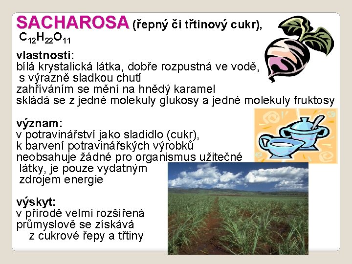 SACHAROSA (řepný či třtinový cukr), C 12 H 22 O 11 vlastnosti: bílá krystalická