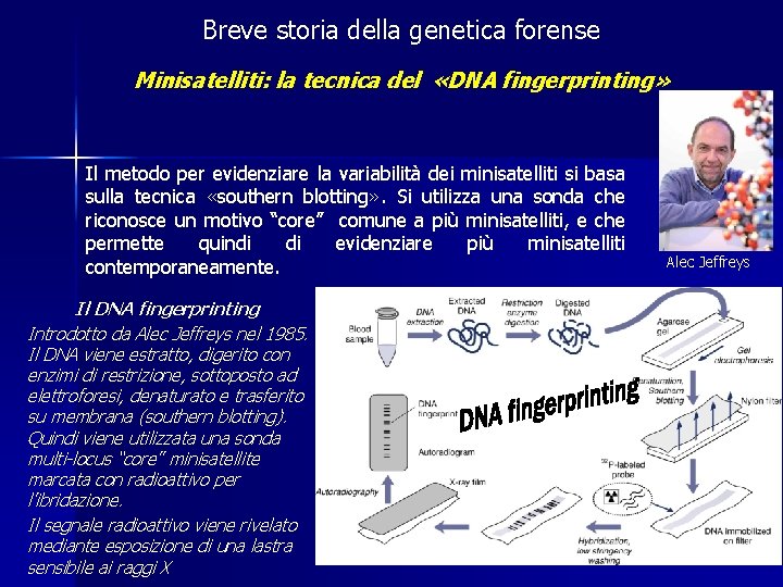 Breve storia della genetica forense Minisatelliti: la tecnica del «DNA fingerprinting» Il metodo per