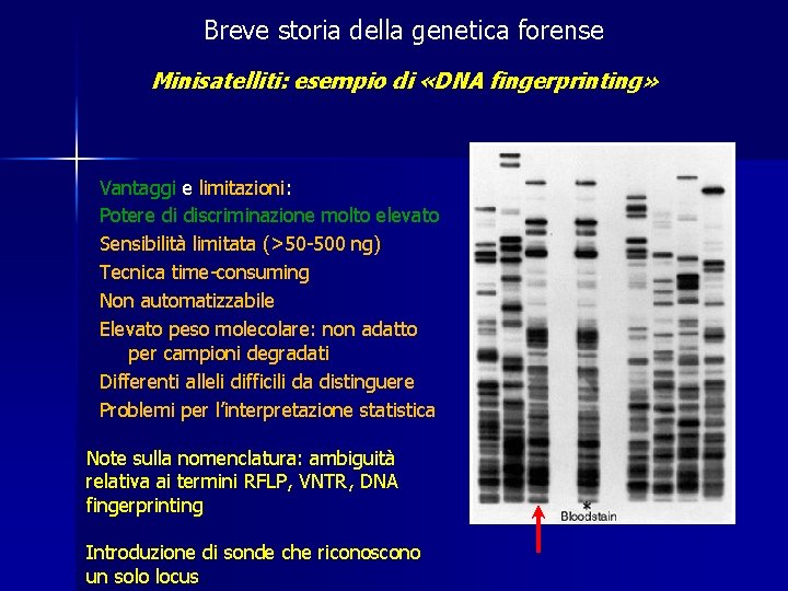 Breve storia della genetica forense Minisatelliti: esempio di «DNA fingerprinting» Vantaggi e limitazioni: Potere