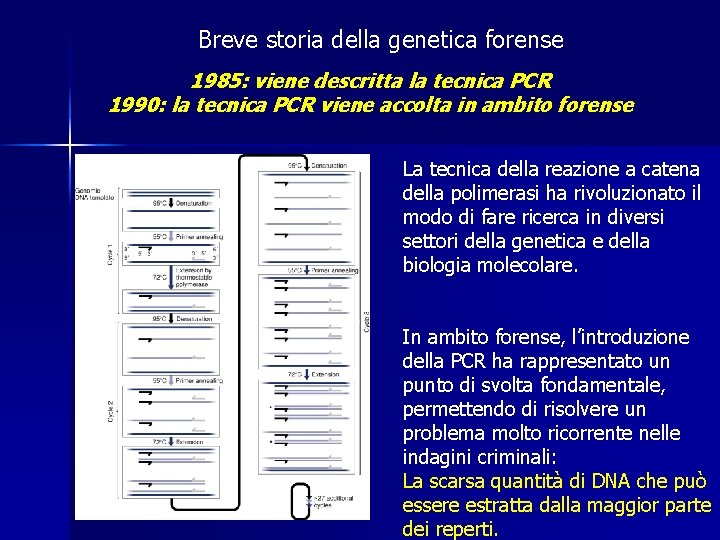 Breve storia della genetica forense 1985: viene descritta la tecnica PCR 1990: la tecnica