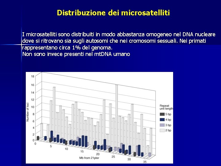 Distribuzione dei microsatelliti I microsatelliti sono distribuiti in modo abbastanza omogeneo nel DNA nucleare