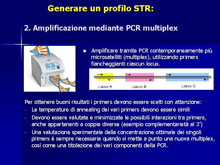 Generare un profilo STR: 2. Amplificazione mediante PCR multiplex n Amplificare tramite PCR contemporaneamente