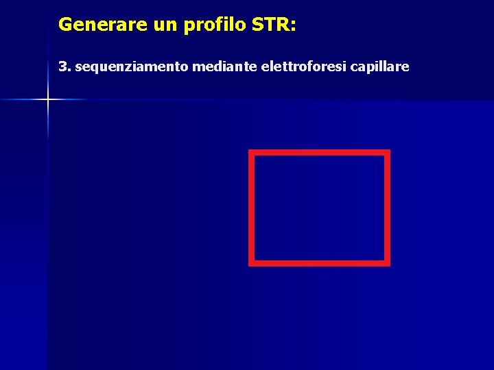 Generare un profilo STR: 3. sequenziamento mediante elettroforesi capillare 