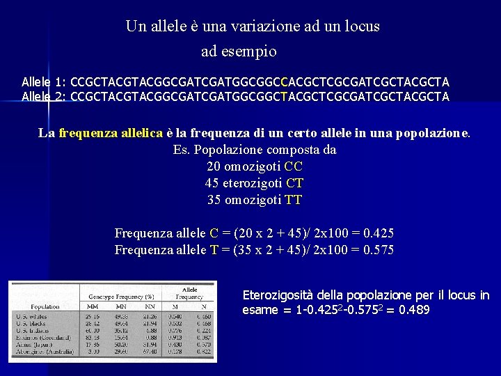 Un allele è una variazione ad un locus ad esempio Allele 1: CCGCTACGGCGATGGCGGCCACGCTCGCGATCGCTA Allele