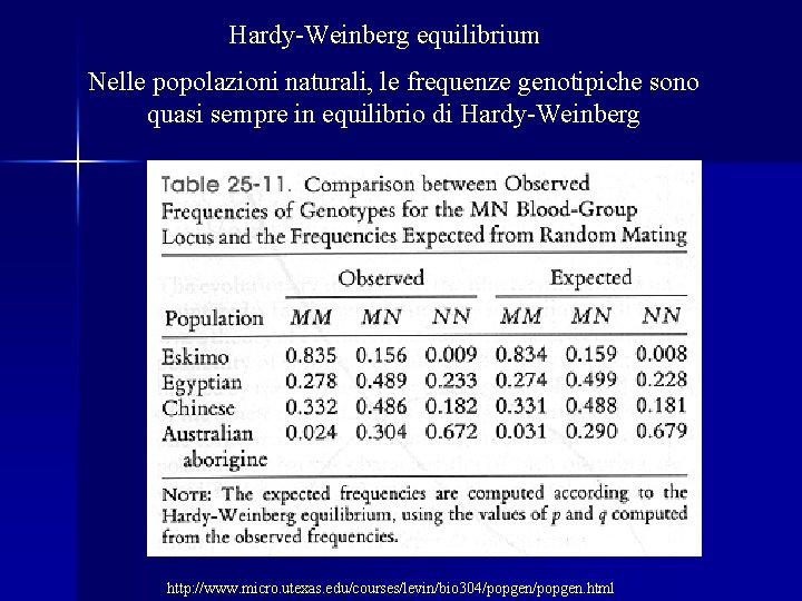 Hardy-Weinberg equilibrium Nelle popolazioni naturali, le frequenze genotipiche sono quasi sempre in equilibrio di