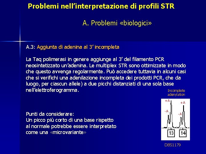 Problemi nell’interpretazione di profili STR A. Problemi «biologici» A. 3: Aggiunta di adenina al