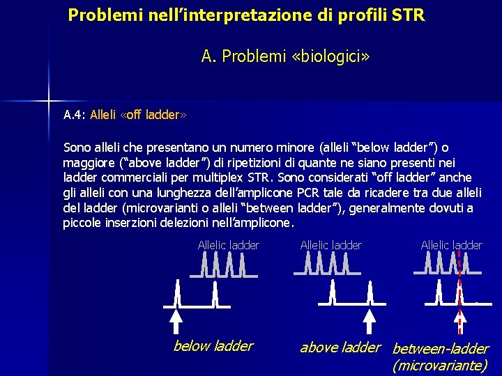 Problemi nell’interpretazione di profili STR A. Problemi «biologici» A. 4: Alleli «off ladder» Sono