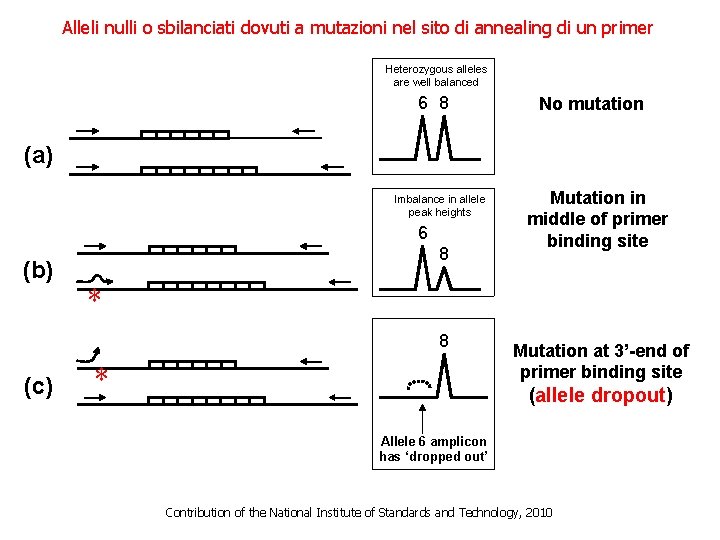 Alleli nulli o sbilanciati dovuti a mutazioni nel sito di annealing di un primer