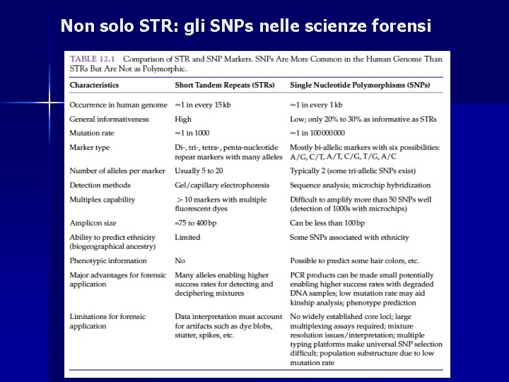 Non solo STR: gli SNPs nelle scienze forensi 