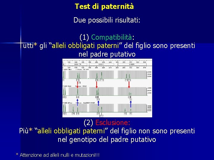 Test di paternità Due possibili risultati: (1) Compatibilità: Tutti* gli “alleli obbligati paterni” del