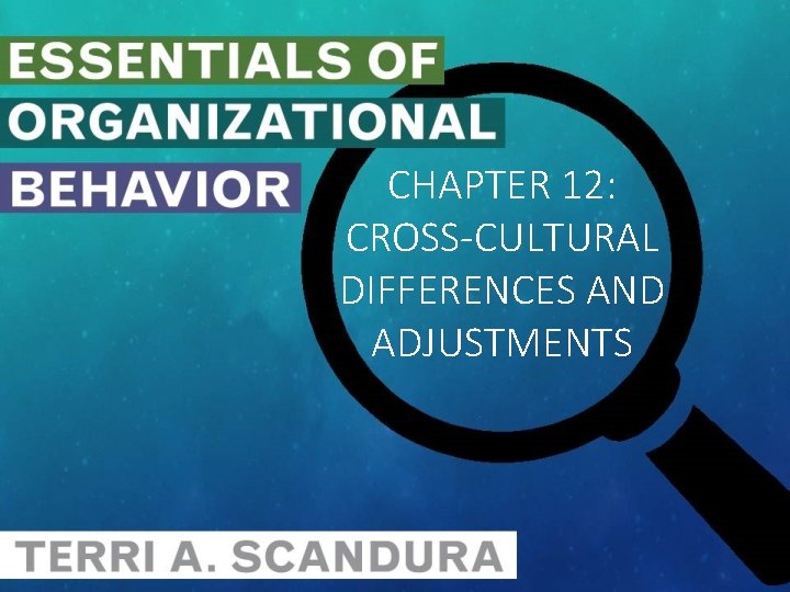 CHAPTER 12: CROSS-CULTURAL DIFFERENCES AND ADJUSTMENTS 