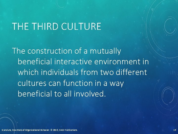 THE THIRD CULTURE The construction of a mutually beneficial interactive environment in which individuals