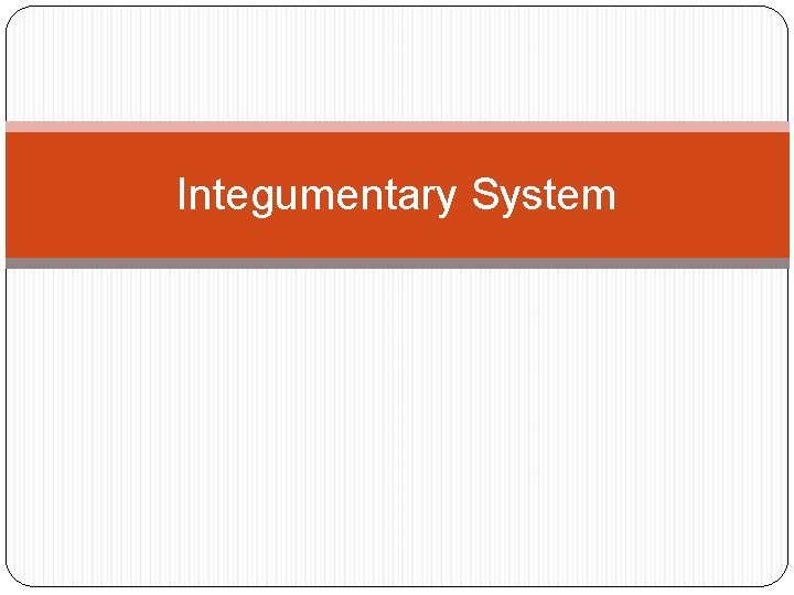 Integumentary System 